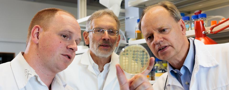 Bactériophages : De droite à gauche : Christian van Delden, Thilo Köhler et Alexandre Luscher - Copyright : Jonathan Imhof/ HUG