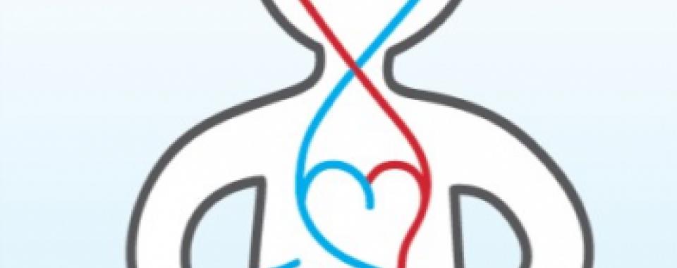 Comment préserver sa santé cardio-vasculaire dans le contexte du COVID-19 ? Journée Cœur Vaisseaux Cerveau