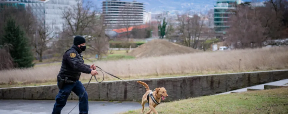 Un chien renifleur du Service de sécurité et de sûreté de l’Office des Nations Unies à Genève